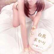 ヒメ日記 2025/11/25 07:31 投稿 白鳥あかり 池袋㊙エステ～フル勃起～