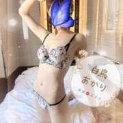 ヒメ日記 2025/12/02 07:25 投稿 白鳥あかり 池袋㊙エステ～フル勃起～