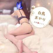 白鳥あかり あなたの元気の源に 池袋㊙エステ～フル勃起～