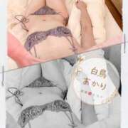 ヒメ日記 2025/12/11 13:24 投稿 白鳥あかり 池袋㊙エステ～フル勃起～