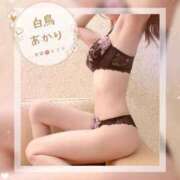 ヒメ日記 2025/12/12 16:51 投稿 白鳥あかり 池袋㊙エステ～フル勃起～