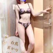 ヒメ日記 2025/12/15 18:51 投稿 白鳥あかり 池袋㊙エステ～フル勃起～