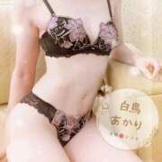 ヒメ日記 2025/12/22 09:41 投稿 白鳥あかり 池袋㊙エステ～フル勃起～