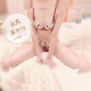 ヒメ日記 2025/12/23 07:34 投稿 白鳥あかり 池袋㊙エステ～フル勃起～