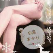 ヒメ日記 2025/12/24 16:21 投稿 白鳥あかり 池袋㊙エステ～フル勃起～