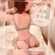 ヒメ日記 2025/12/27 07:31 投稿 白鳥あかり 池袋㊙エステ～フル勃起～