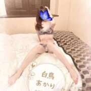 ヒメ日記 2025/12/29 07:31 投稿 白鳥あかり 池袋㊙エステ～フル勃起～