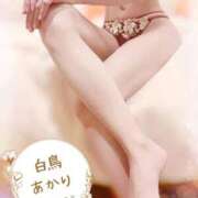 ヒメ日記 2026/01/11 13:21 投稿 白鳥あかり 池袋㊙エステ～フル勃起～