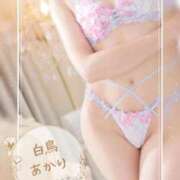 ヒメ日記 2026/01/12 17:21 投稿 白鳥あかり 池袋㊙エステ～フル勃起～