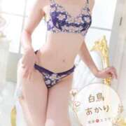 ヒメ日記 2026/01/24 16:34 投稿 白鳥あかり 池袋㊙エステ～フル勃起～