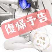 ヒメ日記 2026/04/01 17:51 投稿 白鳥あかり 池袋㊙エステ～フル勃起～