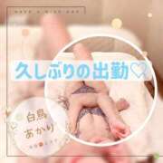 ヒメ日記 2026/04/04 17:30 投稿 白鳥あかり 池袋㊙エステ～フル勃起～