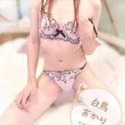 ヒメ日記 2026/04/13 12:02 投稿 白鳥あかり 池袋㊙エステ～フル勃起～