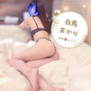 ヒメ日記 2026/04/29 07:21 投稿 白鳥あかり 池袋㊙エステ～フル勃起～