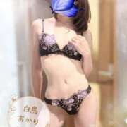 ヒメ日記 2026/05/02 19:51 投稿 白鳥あかり 池袋㊙エステ～フル勃起～