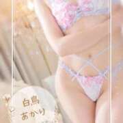 ヒメ日記 2026/05/03 20:51 投稿 白鳥あかり 池袋㊙エステ～フル勃起～