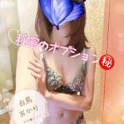 ヒメ日記 2026/05/04 11:31 投稿 白鳥あかり 池袋㊙エステ～フル勃起～