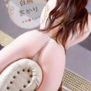 ヒメ日記 2026/05/17 13:02 投稿 白鳥あかり 池袋㊙エステ～フル勃起～