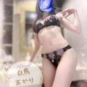 ヒメ日記 2026/05/19 14:41 投稿 白鳥あかり 池袋㊙エステ～フル勃起～