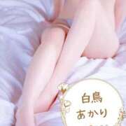 ヒメ日記 2026/05/20 07:34 投稿 白鳥あかり 池袋㊙エステ～フル勃起～