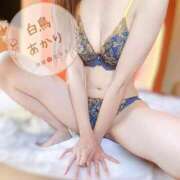 ヒメ日記 2026/05/29 15:01 投稿 白鳥あかり 池袋㊙エステ～フル勃起～