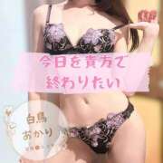 ヒメ日記 2026/06/02 17:41 投稿 白鳥あかり 池袋㊙エステ～フル勃起～