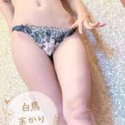 白鳥あかり 🈵♡🈵 池袋㊙エステ～フル勃起～