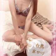 ヒメ日記 2026/07/03 15:02 投稿 白鳥あかり 池袋㊙エステ～フル勃起～