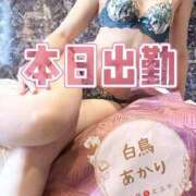 ヒメ日記 2026/07/04 16:51 投稿 白鳥あかり 池袋㊙エステ～フル勃起～