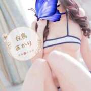 ヒメ日記 2026/07/04 22:48 投稿 白鳥あかり 池袋㊙エステ～フル勃起～