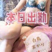 ヒメ日記 2026/08/15 12:02 投稿 白鳥あかり 池袋㊙エステ～フル勃起～