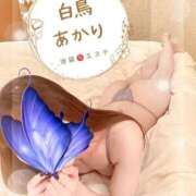 ヒメ日記 2026/08/15 17:11 投稿 白鳥あかり 池袋㊙エステ～フル勃起～