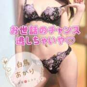 ヒメ日記 2026/08/24 17:51 投稿 白鳥あかり 池袋㊙エステ～フル勃起～