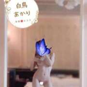 ヒメ日記 2026/08/29 07:35 投稿 白鳥あかり 池袋㊙エステ～フル勃起～