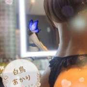 ヒメ日記 2026/10/01 14:51 投稿 白鳥あかり 池袋㊙エステ～フル勃起～