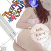 ヒメ日記 2026/10/10 23:21 投稿 白鳥あかり 池袋㊙エステ～フル勃起～