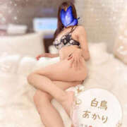 ヒメ日記 2026/10/17 14:42 投稿 白鳥あかり 池袋㊙エステ～フル勃起～