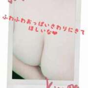 ヒメ日記 2025/11/09 19:20 投稿 ゆみ 埼玉熊谷ちゃんこ