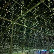 ヒメ日記 2025/11/14 12:06 投稿 ゆみ 埼玉熊谷ちゃんこ