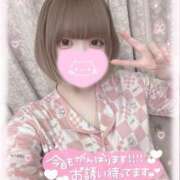 ヒメ日記 2026/02/21 16:50 投稿 ねるん キミの乳首が好き！！五反田店