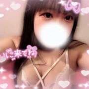 しの 出勤です…！ 激安ソープの殿堂　ボイン・ホーテ