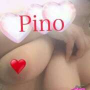 ヒメ日記 2025/07/21 01:28 投稿 ピノ クラブレア堺