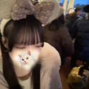 ヒメ日記 2026/02/03 20:14 投稿 るか【ロリ系激カワ女子】 STELLA TOKYO－ステラトウキョウ－