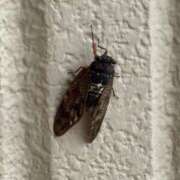 ヒメ日記 2025/08/16 17:35 投稿 ちなつ 佐賀人妻デリヘル 「デリ夫人」