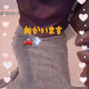 ヒメ日記 2025/08/21 15:46 投稿 ちなつ 佐賀人妻デリヘル 「デリ夫人」