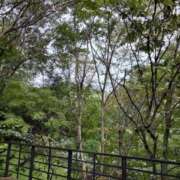 ヒメ日記 2025/10/22 19:31 投稿 ちなつ 佐賀人妻デリヘル 「デリ夫人」