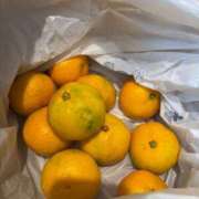 ヒメ日記 2025/11/13 12:16 投稿 ちなつ 佐賀人妻デリヘル 「デリ夫人」