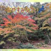 ヒメ日記 2025/11/20 23:02 投稿 ちなつ 佐賀人妻デリヘル 「デリ夫人」