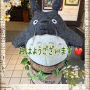 ヒメ日記 2025/11/21 07:50 投稿 ちなつ 佐賀人妻デリヘル 「デリ夫人」