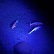 ヒメ日記 2025/11/24 20:02 投稿 ちなつ 佐賀人妻デリヘル 「デリ夫人」